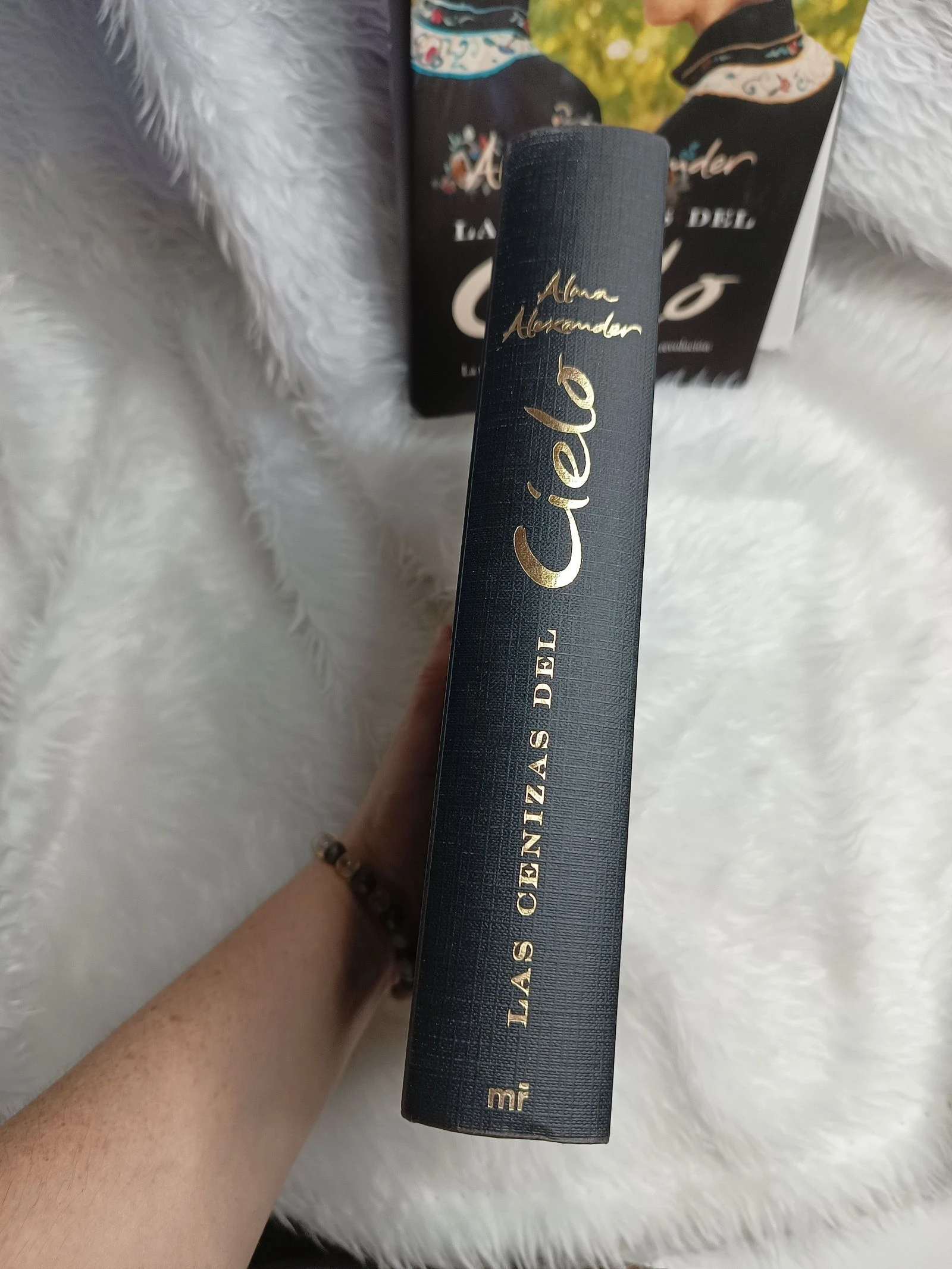 Boek De As van de Hemel – photo 9